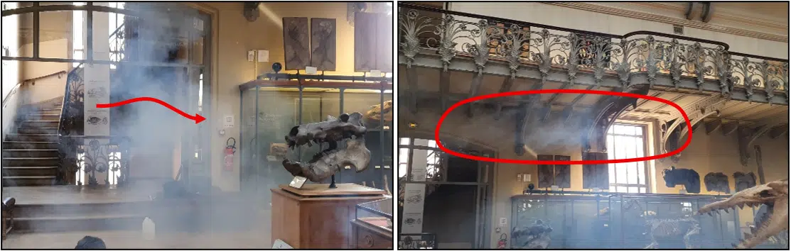 Ensayo de humo con anotaciones de los flujos de aire en la Galería de Paleontología del MNHN