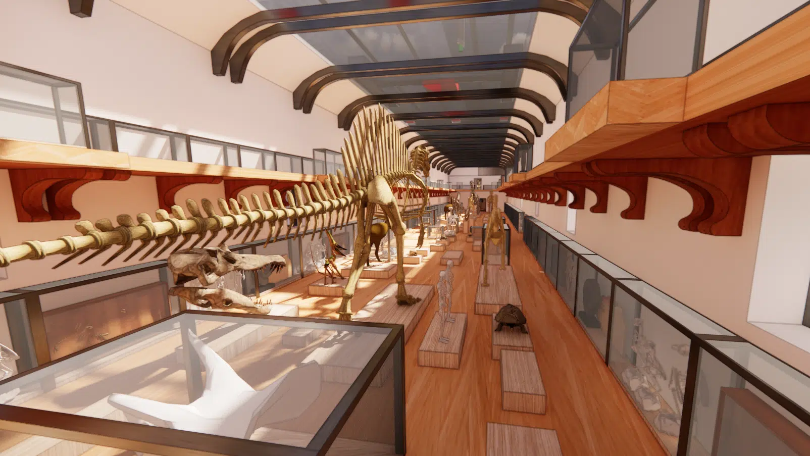 Vista de la nave principal de la Galería de Paleontología del MNHN con esqueleto de dinosaurio